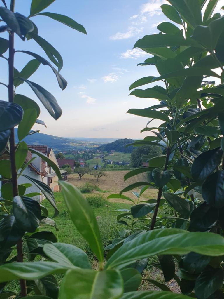 Ferienwohnung Feriendomizil Schleich Am Steinriegl Bad Gleichenberg Exterior foto